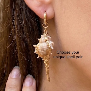 May include: A gold hoop earring featuring a natural seashell pendant with gold-toned textured detailing. The text 'Choose your unique shell pair' is visible next to the earring, which hangs from a small polished gold hoop.