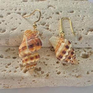 Schelpenoorbellen aanslagbestendig waterdicht echte natuurlijke nootmuskaatschelpen schelp hanger sieraden kust Boho gouden haak oorbellen strand bruiloft