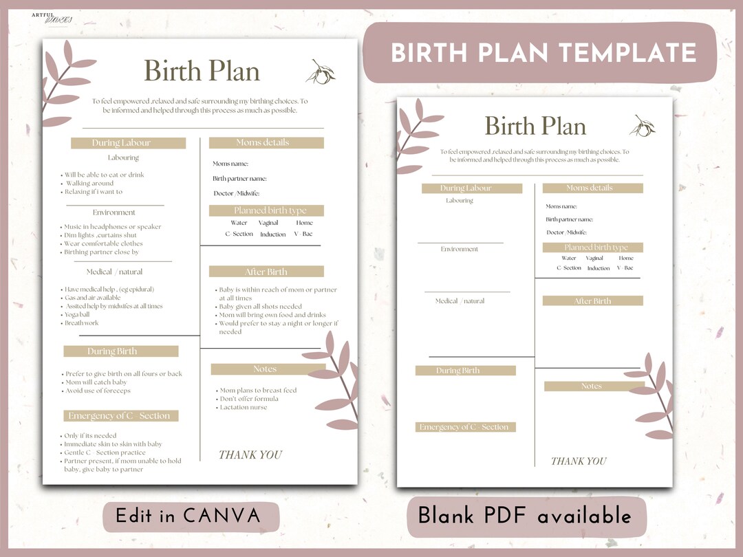 Editable Birth Plan Template: New Mom Planner (canva & PDF) - Etsy