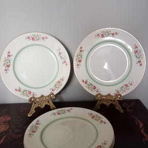 Antique Burleight Ware Burgess & Leigh Plates. Set of 6