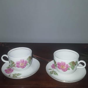Vintage Rare Kahla Porcelain Tea Cup and Saucer Set of 2