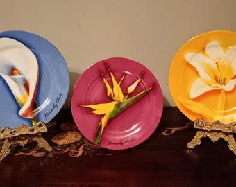ジバンシィ セット、6 ピース プレート セット、大 1 枚、小 5 枚、花