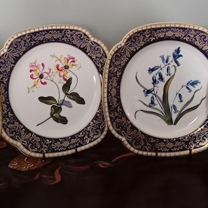 Set of 4 Spode &quot; The Cabinet Collection&quot; Plate.