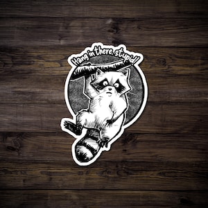 Hang in There Raccoon Sticker, Raccoon Vinyl Sticker, Trash Panda Sticker, Laptop Sticker, Water Bottle Sticker, Waterproof Vinyl Sticker