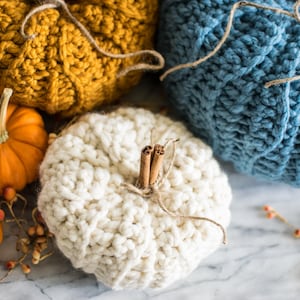 May include: Three crocheted pumpkins in different colors: mustard yellow, white, and blue. The pumpkins are decorated with cinnamon sticks and twine.