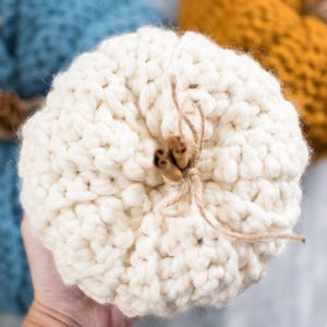 May include: A white crocheted pumpkin with a brown cinnamon stick stem and twine bow.