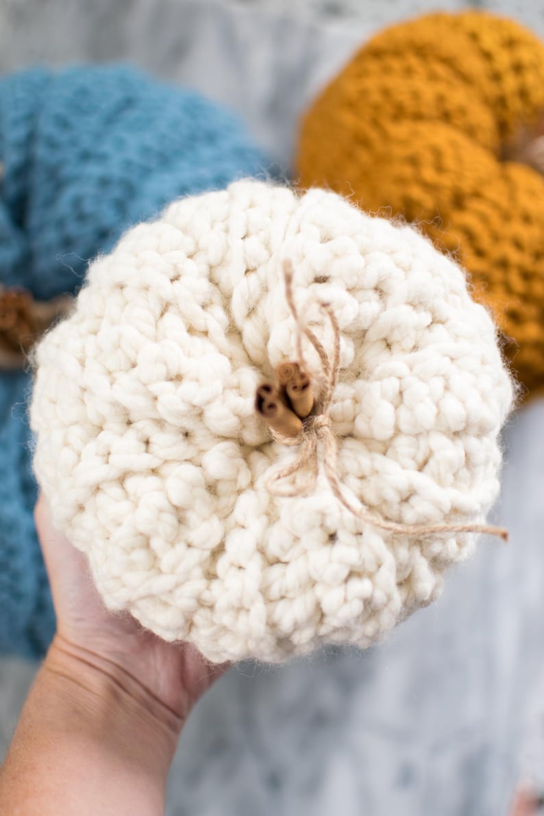 May include: A white crocheted pumpkin with a brown cinnamon stick stem and twine bow.