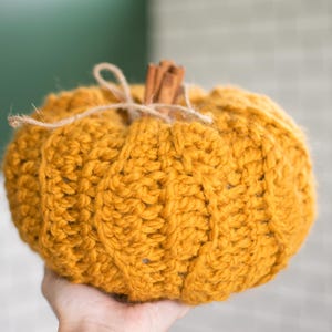 May include: A crocheted pumpkin in a mustard yellow color with cinnamon sticks tied with twine at the top.