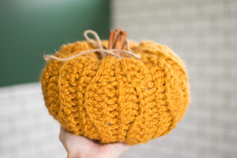 May include: A crocheted pumpkin in a mustard yellow color with cinnamon sticks tied with twine at the top.