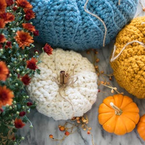 May include: Three crocheted pumpkins in blue, white, and yellow, with two small orange pumpkins and a bouquet of red mums in the background.