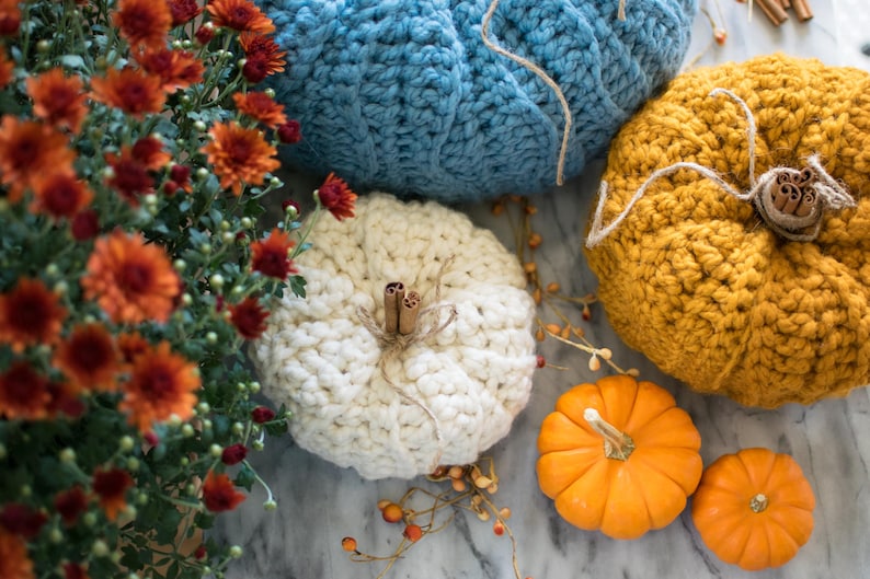 May include: Three crocheted pumpkins in blue, white, and yellow, with two small orange pumpkins and a bouquet of red mums in the background.