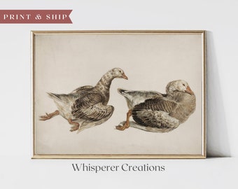 PRINTED & SHIPPED | Duck Vintage Print | Duck Wall Art | Duck Drawing | Antique Vintage Painting | Farmhouse Decor | Physical Print | #140