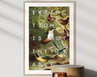 Póster artístico enmarcado de aves en peligro de extinción para decoración contemporánea y vintage.