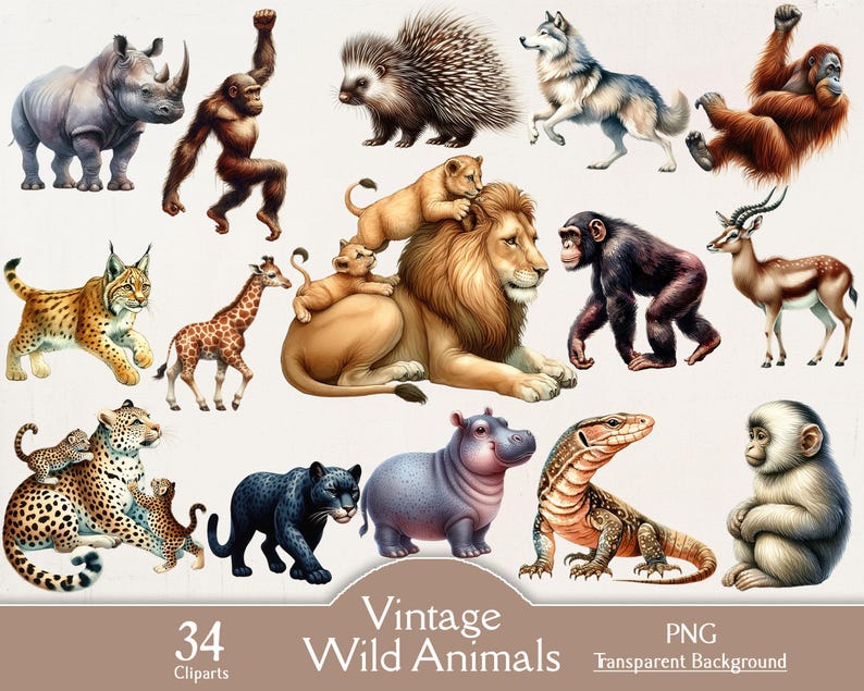 Vintage Wild Animals Clipart Collection, Vintage Animals Bundle, 34 PNG ...