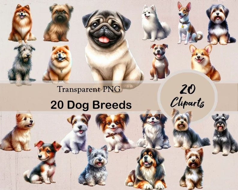 100 Dog Breeds, 100 PNG Clipart, Bundle, Transparent, Dogs, Cute Dogs ...