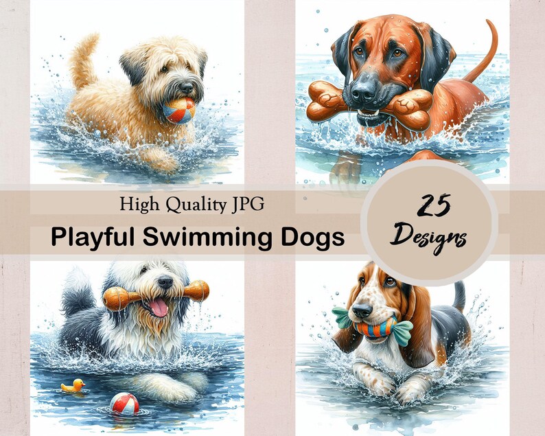 Playful Swimming Dogs, 25 JPG Images, Cute, Adorable, Dogs, Playful ...