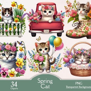 Chat de printemps, chat floral, 34 cliparts PNG, fleurs, fleurs, clipart, numérique, téléchargement, chaton floral, fleurs, journal indésirable, chat de Pâques