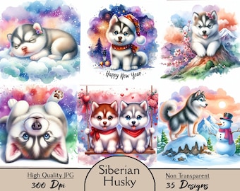 Siberian Husky, 35 JPG images, clipart, dog portrait, cute dog, 4 seasons, digital, download, winter, summer, spring, autumn, christmas