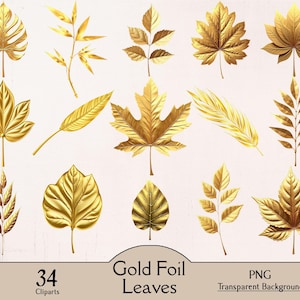 Bladgoud, 34 png-clipart, bladgoud, palmblad, dennenblad, bladclipart, bladgoud, bladzilver, tropische bladeren, afdrukbaar