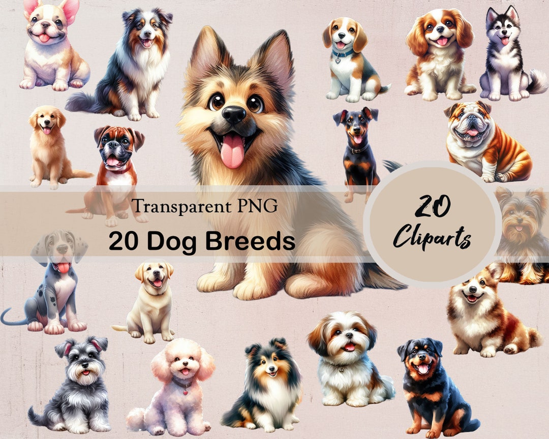 20 Dog Breeds, 20 PNG Cliparts, Transparent, Dogs, Cute Dogs, Cute ...