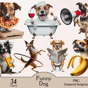 Imágenes prediseñadas de perro gracioso, perro gracioso lindo, 34 imágenes PNG, perro peculiar, paquete de imágenes de perros graciosos, paquete de animales graciosos, cachorro caprichoso, ilustración de perro