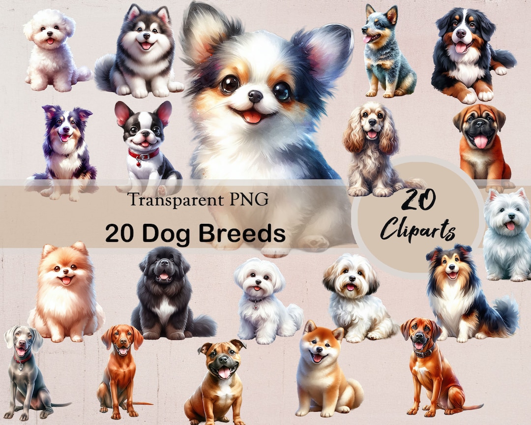 20 Dog Breeds, 20 PNG Cliparts, Transparent, Dogs, Cute Dogs, Cute ...