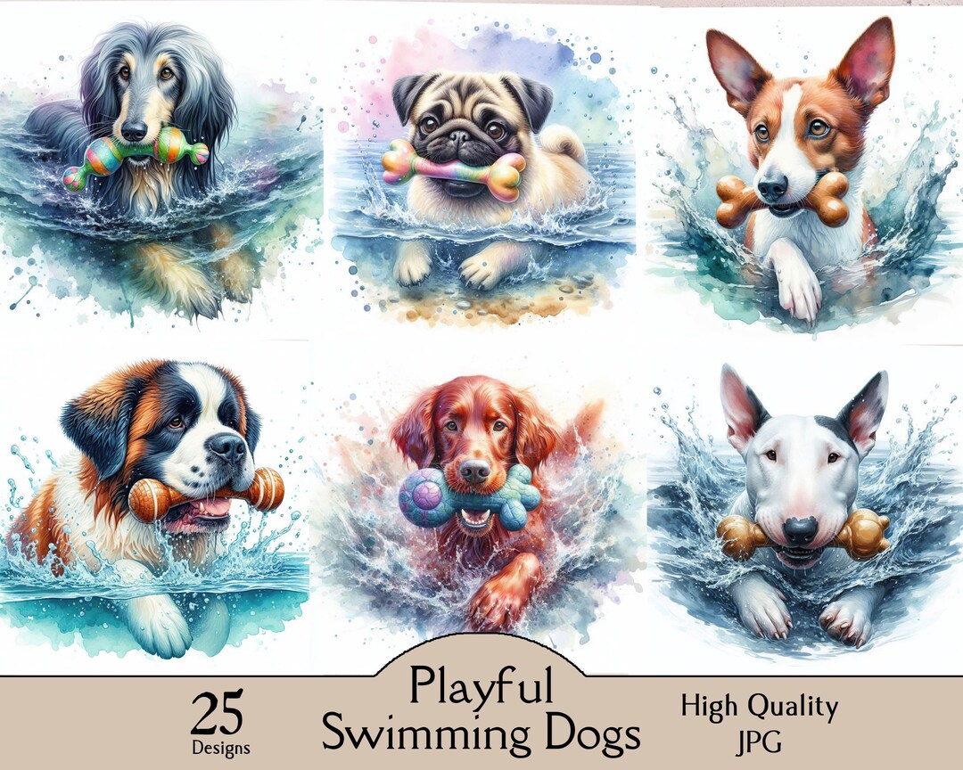Playful Swimming Dogs, 25 JPG Images, Cute Dogs, Dog With Chew Toy ...