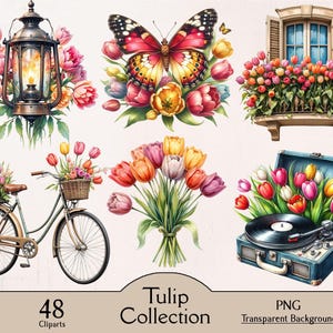 Tulip clipart collection, tulips illustration, 48 PNG cliparts, flower bundle, watercolor tulips, red tulips, white tulips, pink tulips