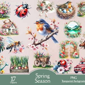 Primavera, 17 clipart PNG, pássaro, flor, casa, pote, lata, caminhão, joaninha, abelha, ninho, jardim, quintal, lago, digital, fofo, lindo
