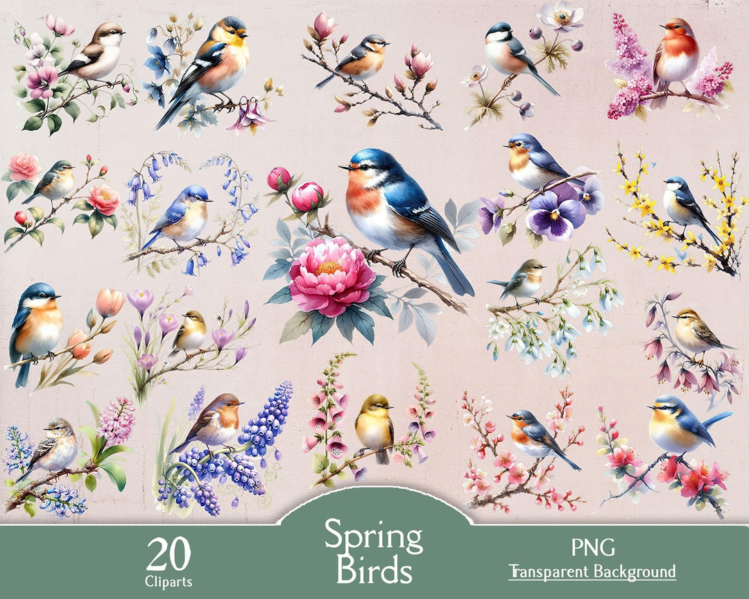 Spring Bird Png Spring Birds, 20 PNG Cliparts, Transparent, Bird, Spring, Tree, Flower ...