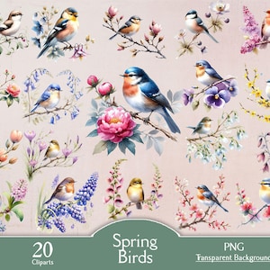 Op de afbeelding: 20 digitale clip art afbeeldingen van kleurrijke vogels met bloemen en bladeren op een witte achtergrond. De tekst "Spring Birds" staat onderaan de afbeelding.