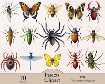 Imágenes prediseñadas de insectos, 70 imágenes PNG, paquete de insectos, insectos coloridos, insectos vintage, diario basura, scrapbooking, manualidades de papel, imprimibles