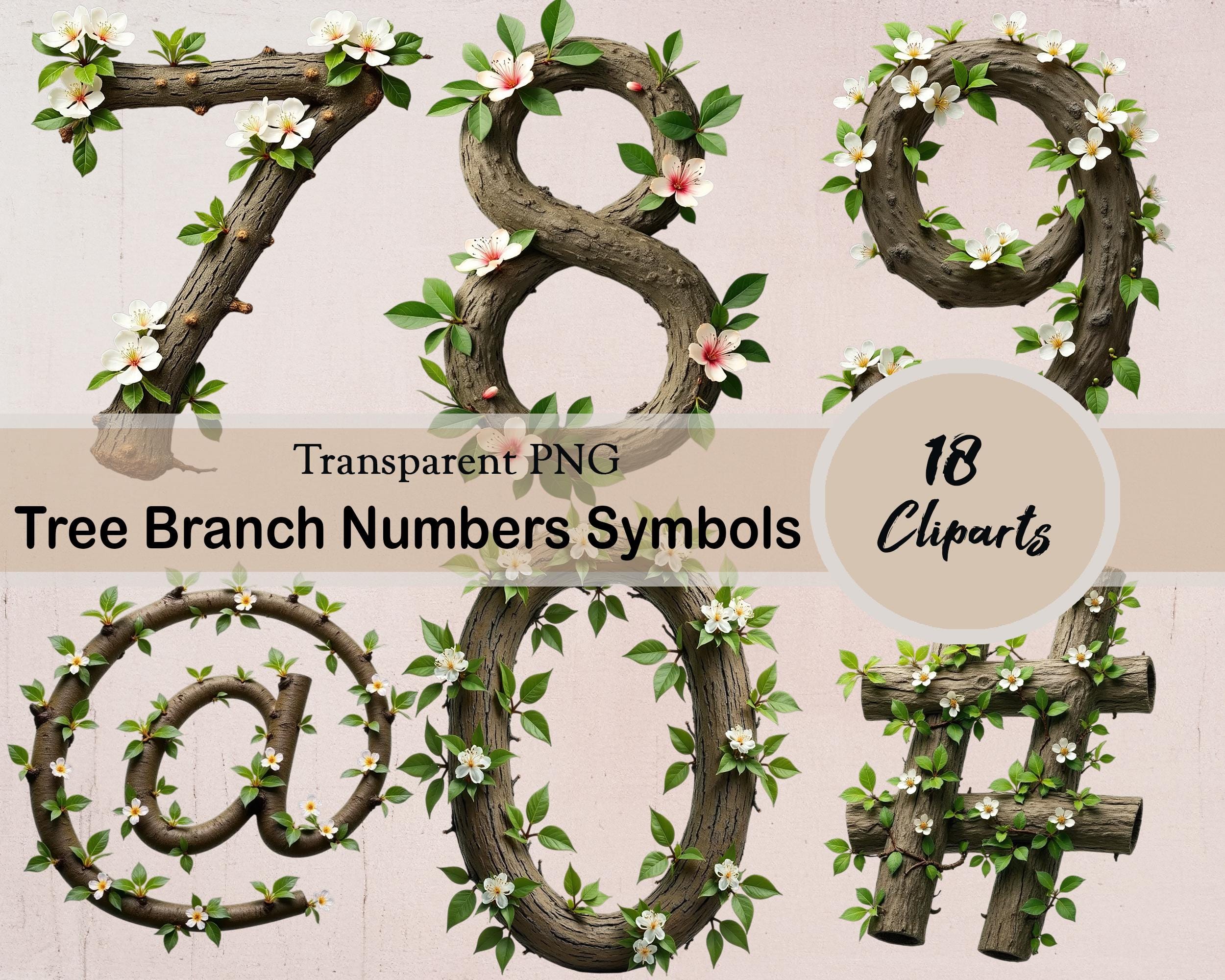 Cherry Tree Branch Numbers and Symbols, Forest Nature Font Wood ...