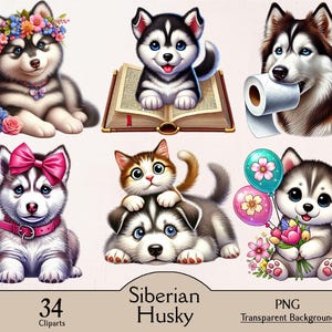 Husky sibérien, 34 cliparts PNG, portrait de chien, aquarelle, 4 saisons, numérique, téléchargement, hiver, été, printemps, automne, Noël, Pâques