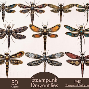 May include: A collection of nine steampunk dragonfly cliparts. Each dragonfly features intricate mechanical details, gears, and metallic accents. Wings are in various colors, including blue, orange, and red. The image includes the text "Steampunk Dragonflies" and "50 Cliparts".