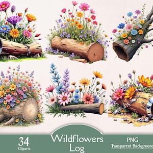 Wildblumen auf Holzstamm, 34 PNG Cliparts, Wildblumen, Aquarell Clipart, Papier Handwerk, Junk Journal, digitaler Download, Frühlingsblumen