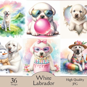 Könnte beinhalten: Eine Sammlung von Aquarellillustrationen mit weißen Labrador-Welpen in verschiedenen Szenen. Ein Welpe trägt eine Sonnenbrille und bläst eine Blase, ein anderer trägt einen Hut und schwimmt auf einer Tube, und ein anderer ist mit einem Schneemann zusammen. Der Text "White Labrador" wird angezeigt.