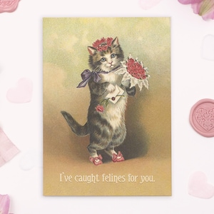 GEFANGENE KATZEN | süße Valentinstagskarte mit Vintage Katzenmotiv