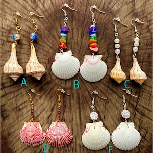 Calico Jakobsmuschel Ohrringe | Muschel Ohrringe | Muschel Schmuck | Aufhellende Wellhornohrringe | Strand Ohrringe | Florida Beach Schmuck