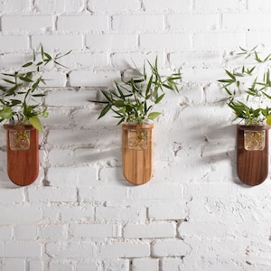 Propagation Wall Sconce