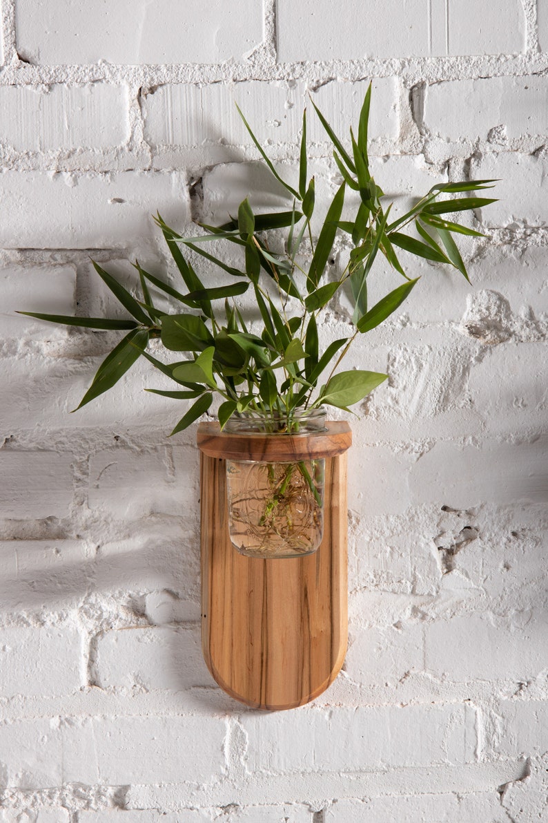 Propagation Wall Sconce Ambrosia Maple