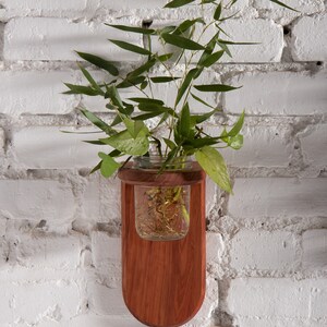 Propagation Wall Sconce Red Cedar