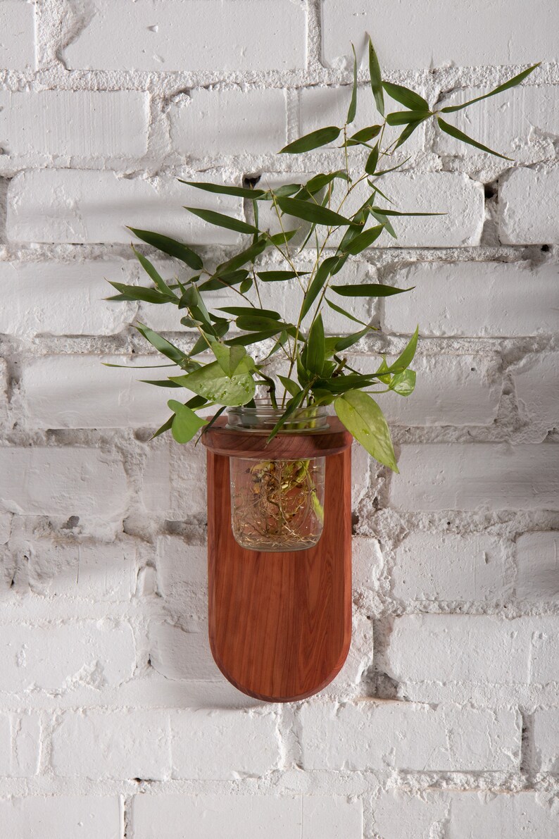 Propagation Wall Sconce Red Cedar