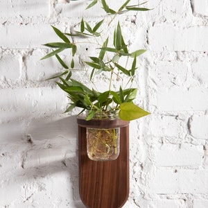 Propagation Wall Sconce Black Walnut