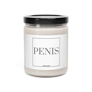 Pen Is, top best funny gift ideas candle by wittycommitty 9oz