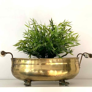 Könnte beinhalten: Ein Vintage-Pflanzgefäß aus Messing mit einer grünen Pflanze. Der Pflanztopf hat eine abgerundete Form, kleine Füße und dekorative Griffe mit weißen und goldenen Akzenten. Die Pflanze hat eine leuchtend grüne Farbe.