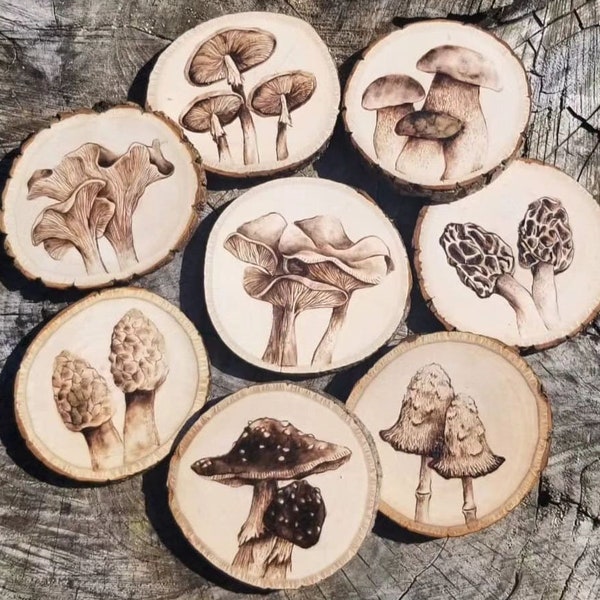 Mushroom Woodburned Coaster