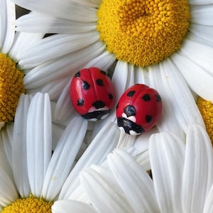 Handgemachte Marienkäfer Ohrstecker: Polymer Clay Natur Schmuck