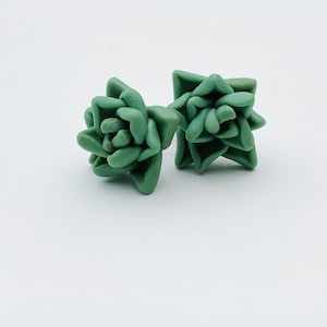 Tiny succulent stud earrings