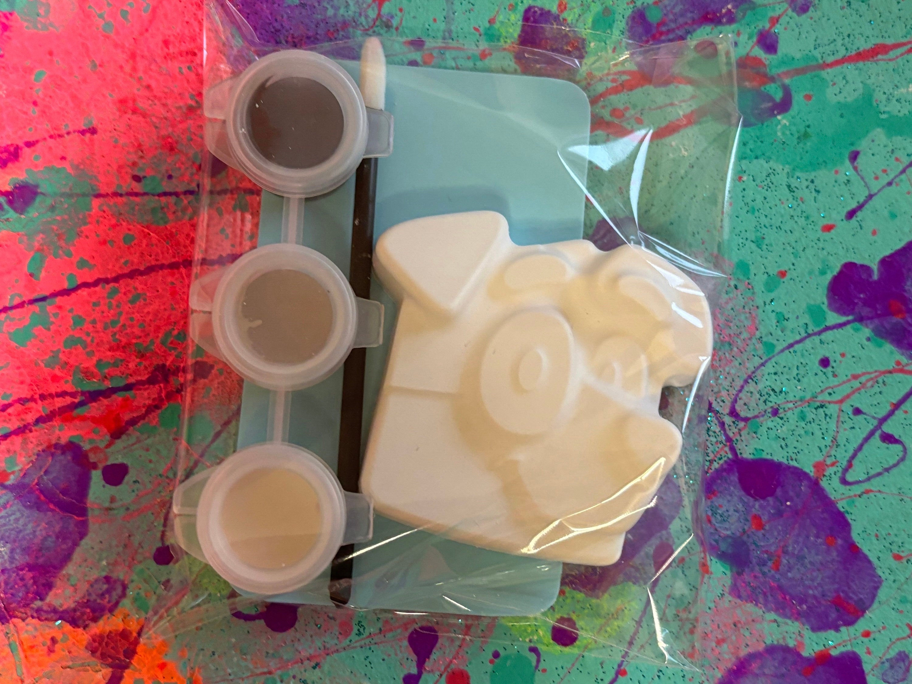 Paint Favor Kit